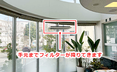 手元までフィルターが降りてきます：2枚目