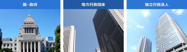 国・政府、地方行政団体、独立行政法人