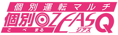 個別ﾏﾙ ZEAS-Qシリーズ