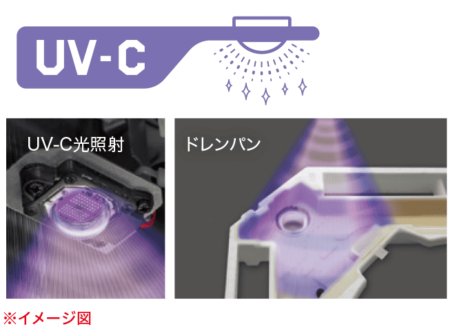 抗菌性能