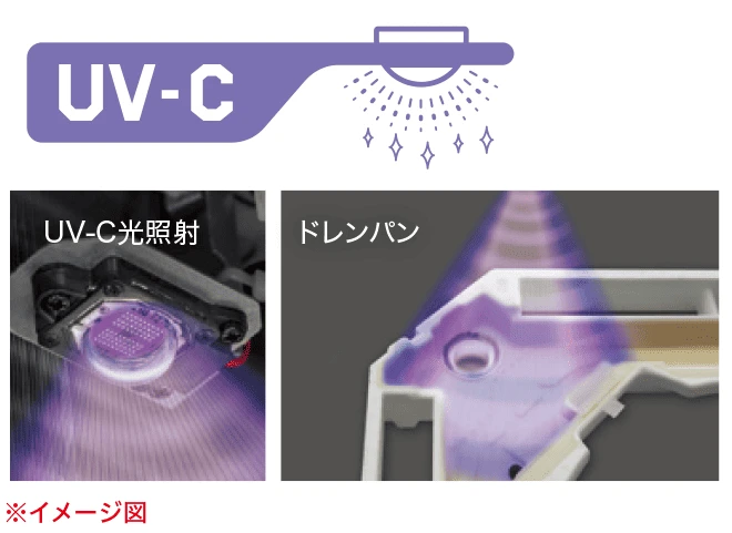 抗菌性能