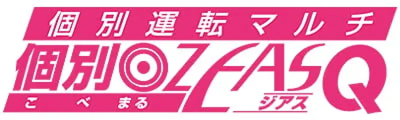 個別ﾏﾙ ZEAS-Q