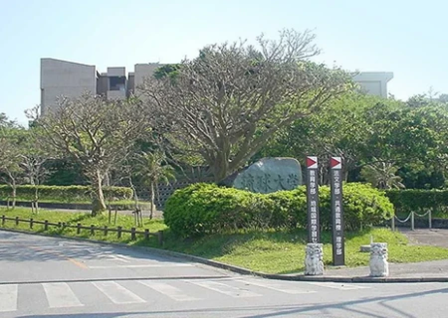 琉球大学 様