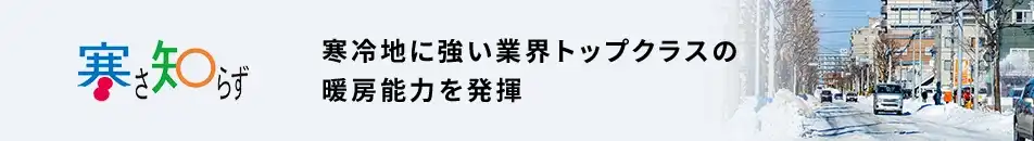 日立 寒さ知らず