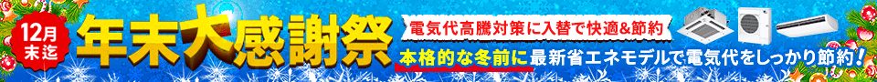 年末大感謝祭・特別割引でご案内いたします。