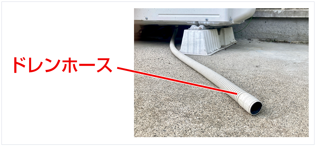 ホースの様子